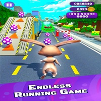 bunny run bunny run