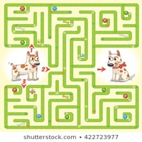 maze dog maze dog